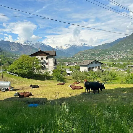 公寓 Maison Clair Vda Gressan N 0094